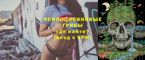 2c-b Елизово